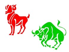 Affinité Bélier avec Taureau