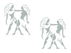 Affinité Gémeaux avec Gémeaux