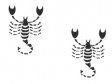 Affinité Scorpion avec Scorpion